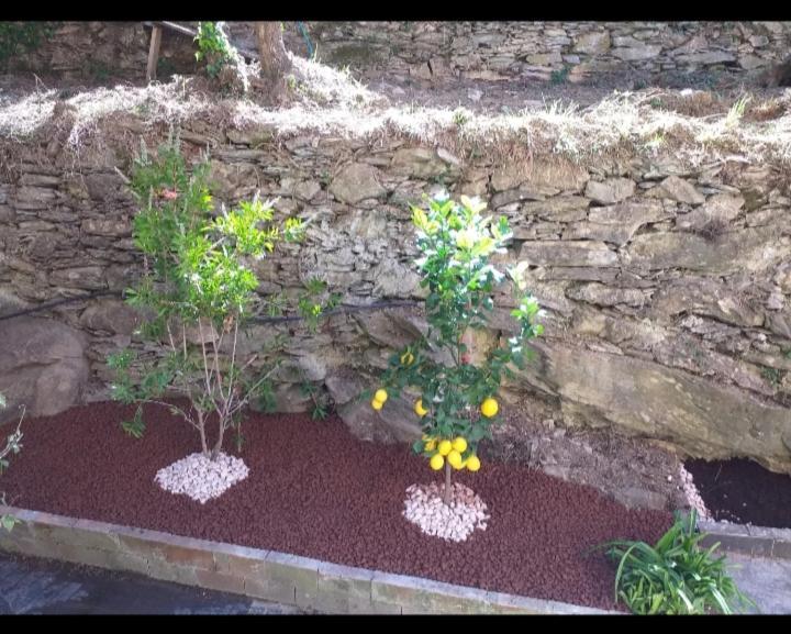 Home Green Poggio Favaro-San Bernardo Екстериор снимка